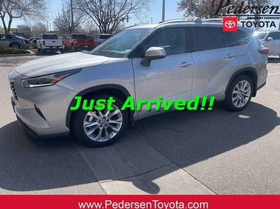 TOYOTA HIGHLANDER 2022 5TDXBRCH1NS554926 image