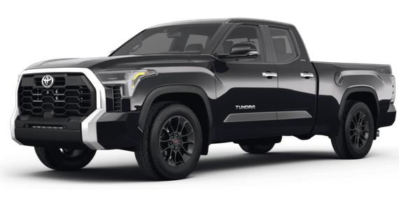 TOYOTA TUNDRA 2023 5TFLA5DA1PX080548 image