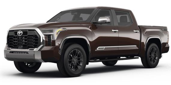 TOYOTA TUNDRA 2023 5TFMC5DB4PX031903 image