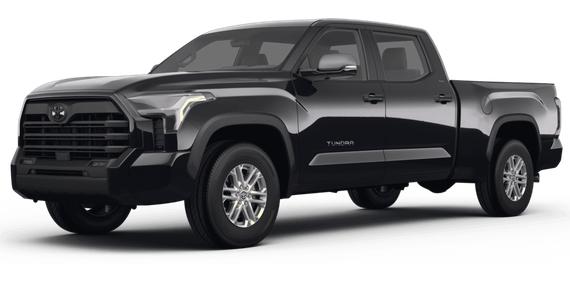 TOYOTA TUNDRA 2023 5TFLA5DB3PX060276 image