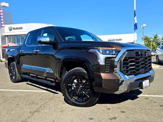 TOYOTA TUNDRA 2023 5TFMA5DB8PX089079 image