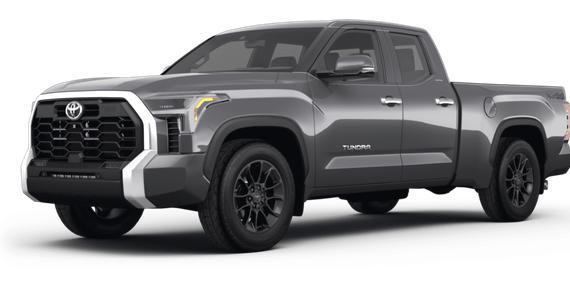 TOYOTA TUNDRA 2023 5TFLA5DA0PX101759 image