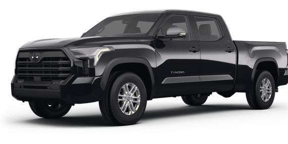 TOYOTA TUNDRA 2023 5TFLA5DB8PX096156 image