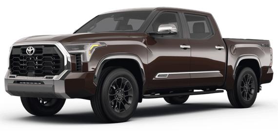 TOYOTA TUNDRA 2023 5TFMC5DB9PX031945 image