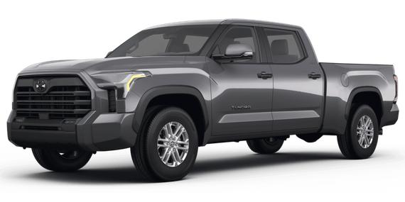 TOYOTA TUNDRA 2023 5TFLA5DB9PX095565 image