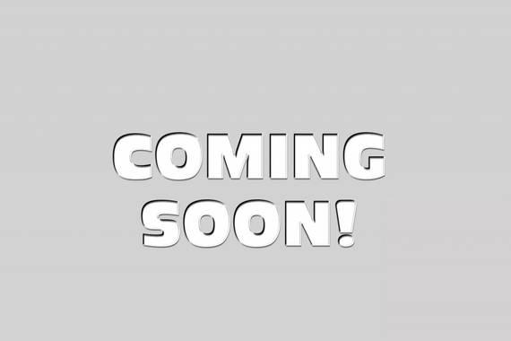 TOYOTA TUNDRA 2023 5TFLA5DB3PX081659 image