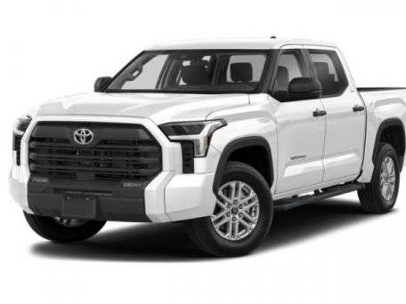 TOYOTA TUNDRA 2023 5TFLA5AB8PX025253 image