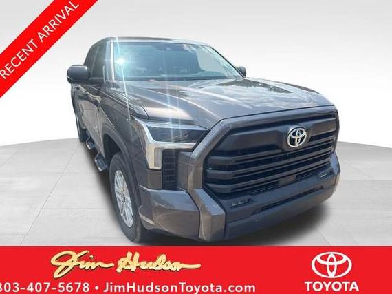 TOYOTA TUNDRA 2023 5TFLA5DB9PX060167 image