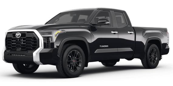 TOYOTA TUNDRA 2023 5TFLA5DA1PX087659 image