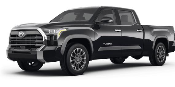 TOYOTA TUNDRA 2023 5TFNA5DB5PX080795 image