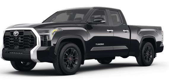 TOYOTA TUNDRA 2023 5TFLA5DA5PX125720 image