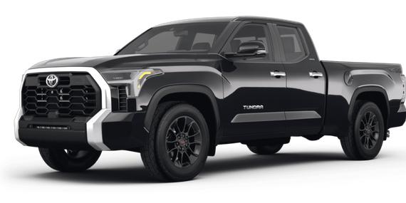 TOYOTA TUNDRA 2023 5TFLA5DA8PX075329 image