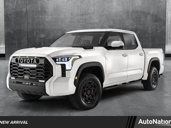 TOYOTA TUNDRA 2023 5TFLA5DB4PX079788 image