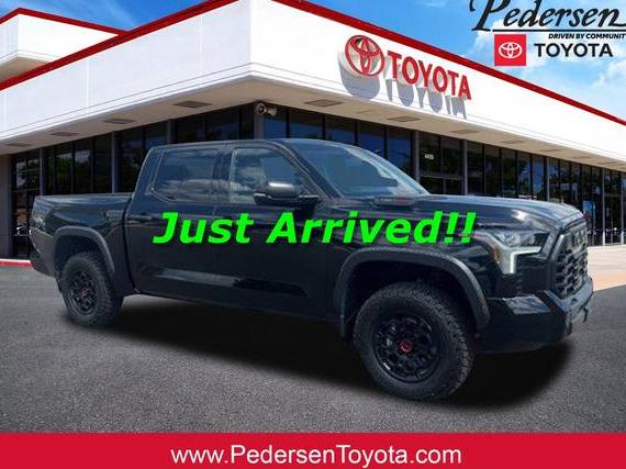 TOYOTA TUNDRA 2023 5TFPC5DB3PX027743 image