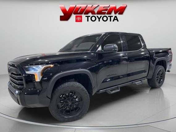 TOYOTA TUNDRA 2023 5TFLA5DB5PX071747 image