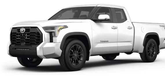 TOYOTA TUNDRA 2023 5TFLA5DA5PX100350 image