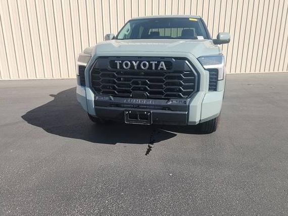 TOYOTA TUNDRA 2023 5TFLA5DB9PX084517 image