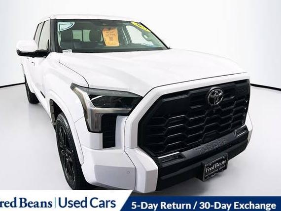 TOYOTA TUNDRA 2023 5TFLA5DA7PX066394 image