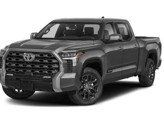 TOYOTA TUNDRA 2023 5TFNA5DB8PX093752 image