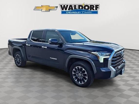 TOYOTA TUNDRA 2023 5TFJA5DB9PX125283 image