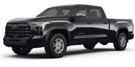 TOYOTA TUNDRA 2023 5TFLA5DB8PX060273 image