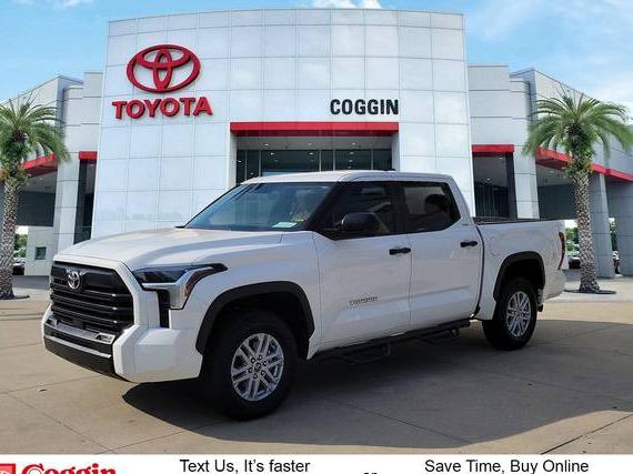 TOYOTA TUNDRA 2024 5TFLA5DB8RX153507 image