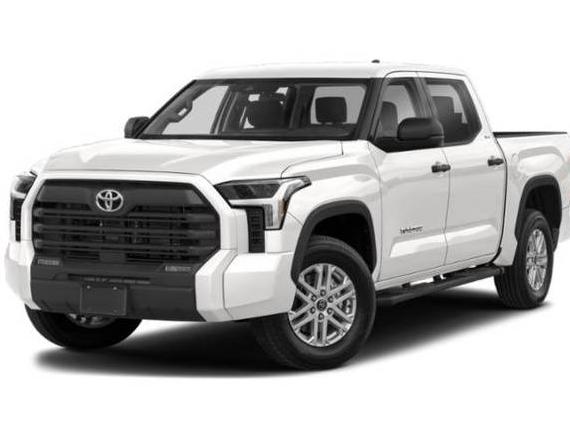 TOYOTA TUNDRA 2022 5TFLA5DB8NX046936 image