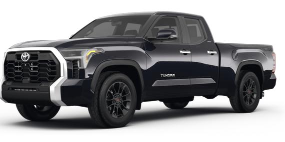 TOYOTA TUNDRA 2022 5TFLA5DA3NX025256 image