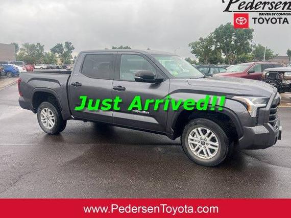 TOYOTA TUNDRA 2022 5TFLA5DB3NX034628 image