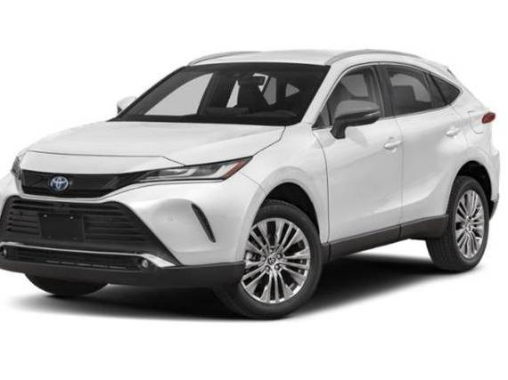 TOYOTA VENZA 2023 JTEAAAAH8PJ133925 image