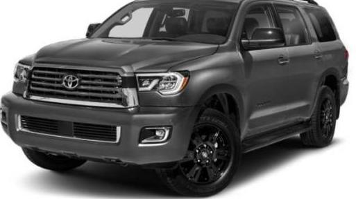 TOYOTA SEQUOIA 2019 5TDZY5G1XKS073517 image