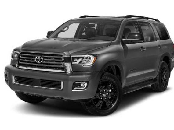 TOYOTA SEQUOIA 2019 5TDZY5G16KS072672 image