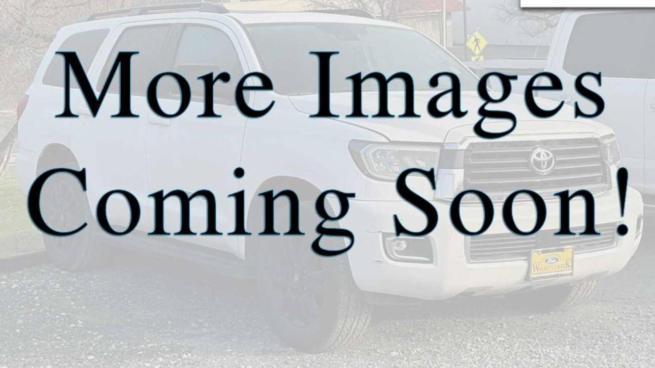 TOYOTA SEQUOIA 2019 5TDBY5G15KS166107 image