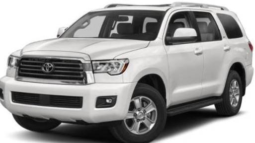 TOYOTA SEQUOIA 2019 5TDZY5G18KS073581 image