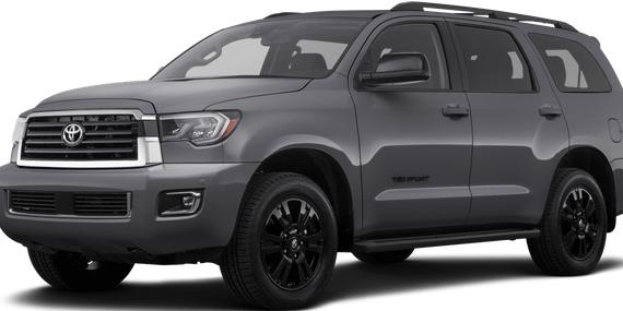 TOYOTA SEQUOIA 2019 5TDZY5G10KS073493 image