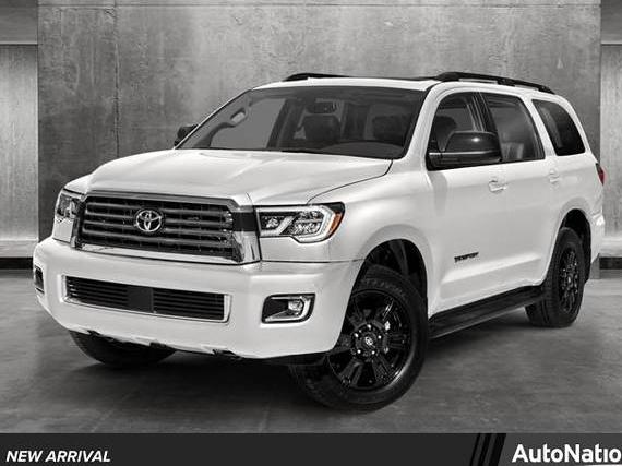 TOYOTA SEQUOIA 2019 5TDZY5G11KS073888 image