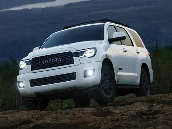 TOYOTA SEQUOIA 2020 5TDYY5G19LS074624 image