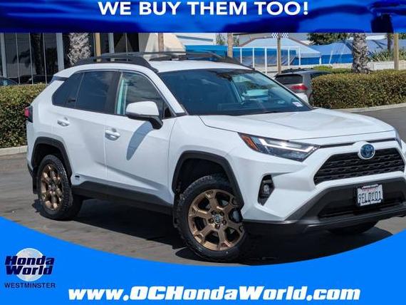 TOYOTA RAV4 2023 2T3UWRFVXPW158309 image TOYOTA RAV4 2023 2T3UWRFVXPW158309 image