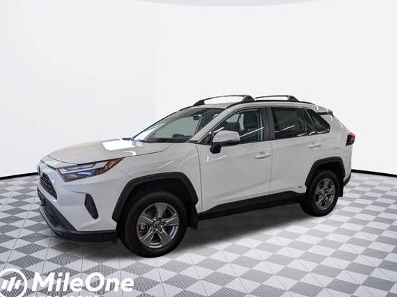 TOYOTA RAV4 2023 4T3RWRFV8PU082482 image