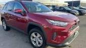 TOYOTA RAV4 2023 2T3W1RFV2PW279472 image