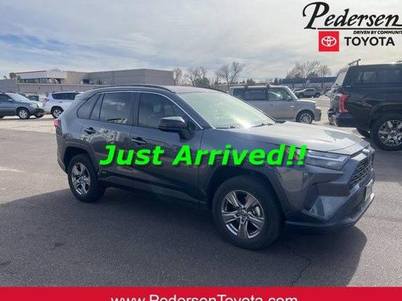 TOYOTA RAV4 2023 JTMLWRFV2PD207088 image TOYOTA RAV4 2023 JTMLWRFV2PD207088 image