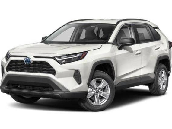 TOYOTA RAV4 2023 2T3UWRFV6PW164866 image