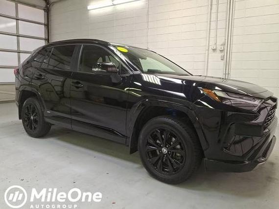 TOYOTA RAV4 2023 JTM16RFV5PD091263 image TOYOTA RAV4 2023 JTM16RFV5PD091263 image