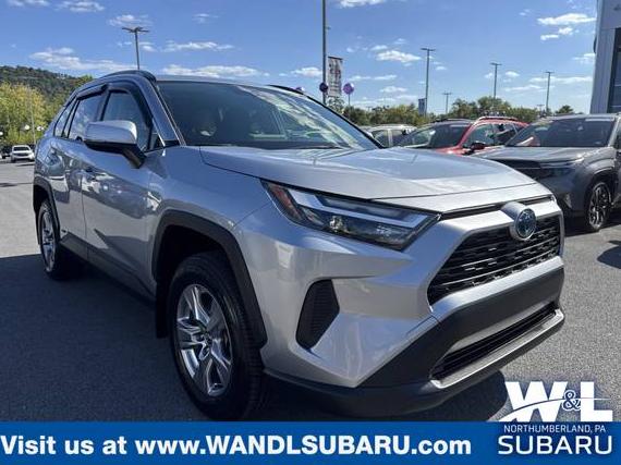 TOYOTA RAV4 2023 JTMRWRFV0PD194948 image TOYOTA RAV4 2023 JTMRWRFV0PD194948 image