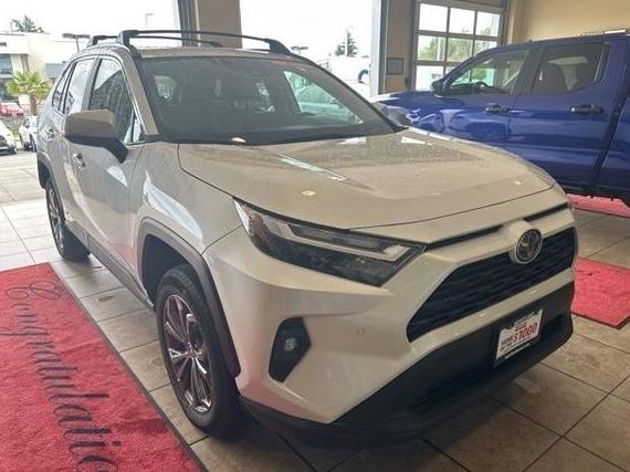 TOYOTA RAV4 2023 4T3B6RFV5PU139710 image