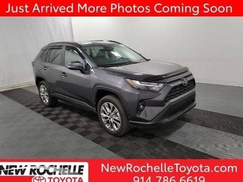 TOYOTA RAV4 2023 2T3A1RFV2PC343151 image
