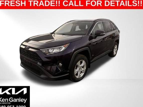 TOYOTA RAV4 2019 2T3P1RFVXKW077959 image
