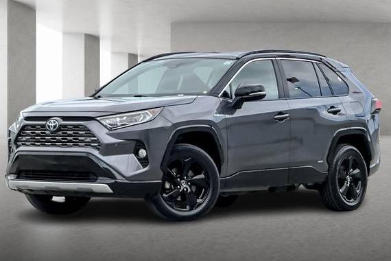 TOYOTA RAV4 2019 2T3EWRFV1KW013558 image