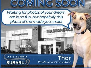 TOYOTA RAV4 2021 2T3P1RFV2MW167920 image TOYOTA RAV4 2021 2T3P1RFV2MW167920 image