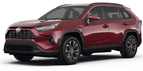TOYOTA RAV4 2024 4T3LWRFV3RU131497 image